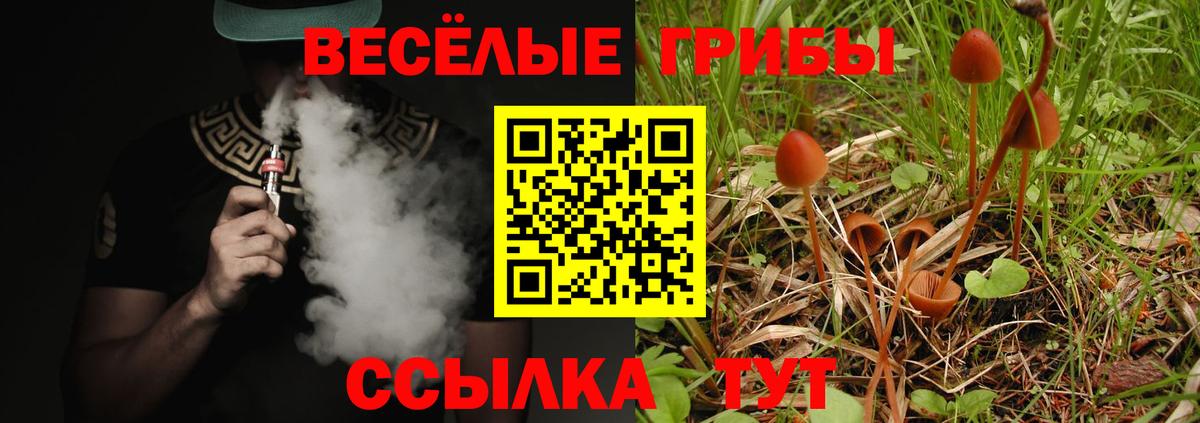 Галлюциногенные грибы Cubensis Якутск